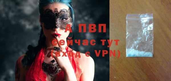 spice Верея