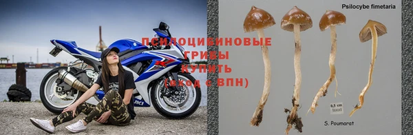 PSILOCYBIN Верхний Тагил