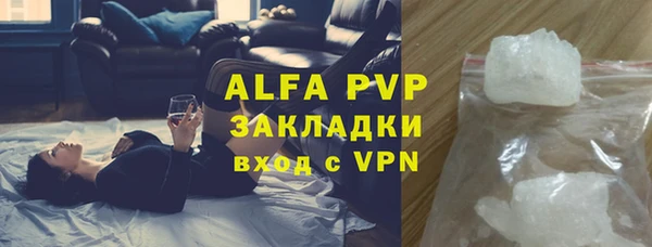 PSILOCYBIN Верхний Тагил