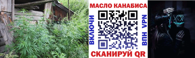 как найти наркотики  Ивангород  Дистиллят ТГК концентрат 